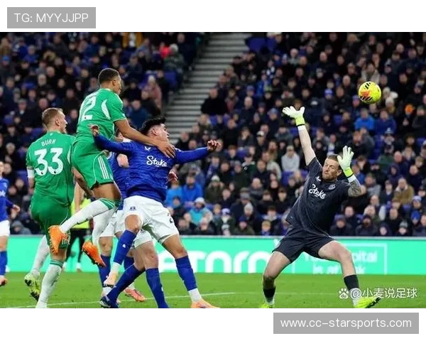 纽卡斯尔：埃迪豪的务实哲学，稳步提升，纽卡斯尔对埃弗顿比分预测