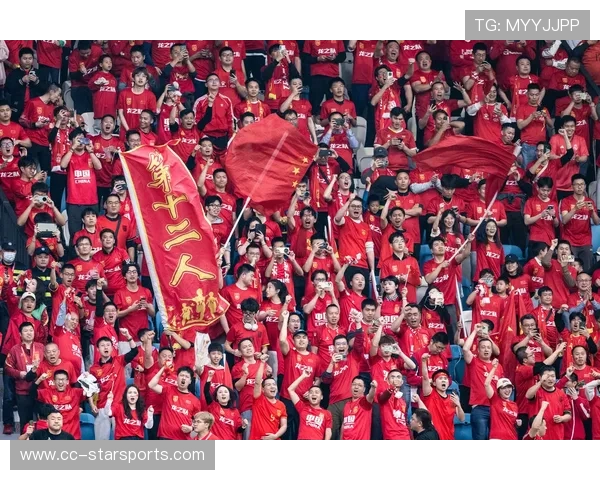 球队历史赛季对比分析，球队历史战绩